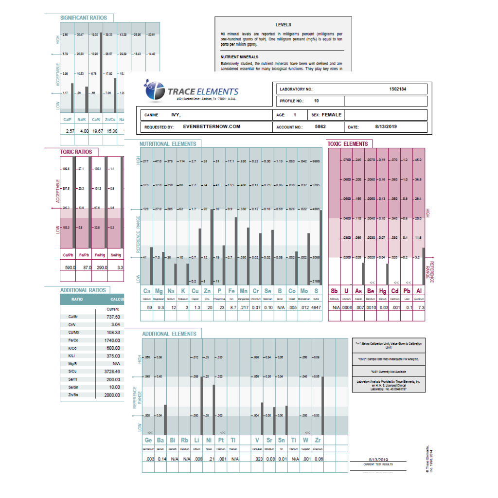 Hair Tissue Mineral Analysis (TEI Profile 10) for Canine