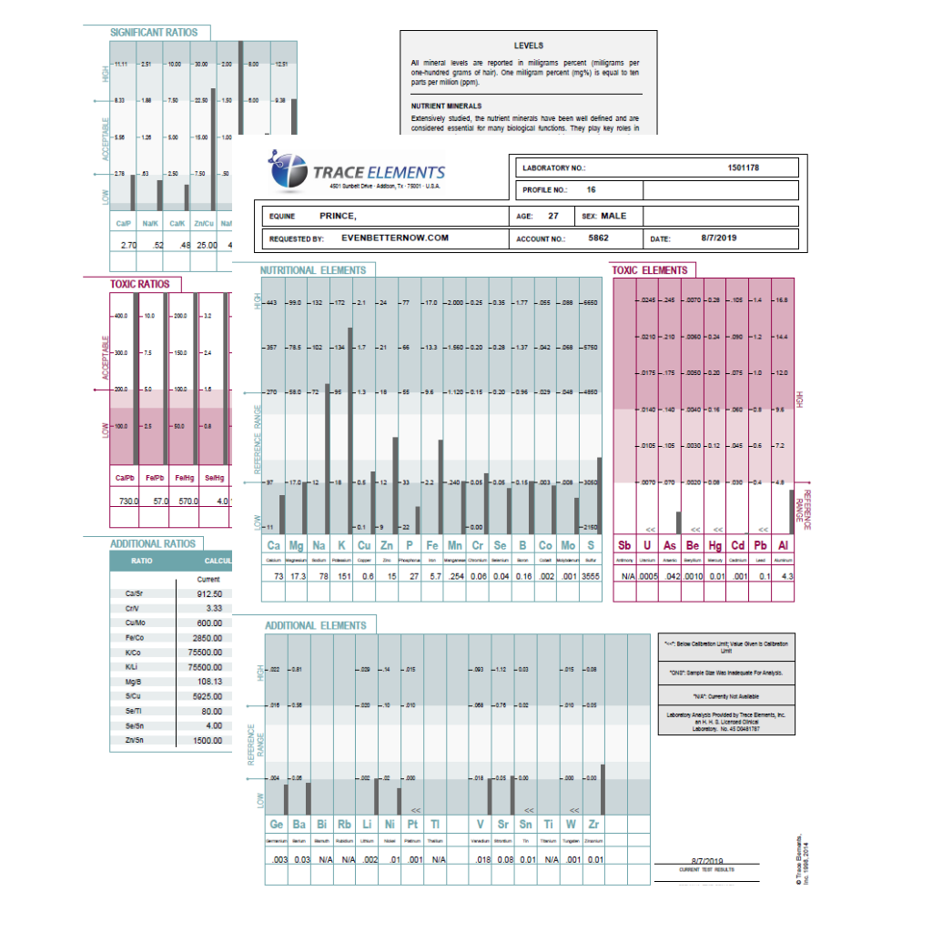Hair Tissue Mineral Analysis (TEI Profile 16) for Equine