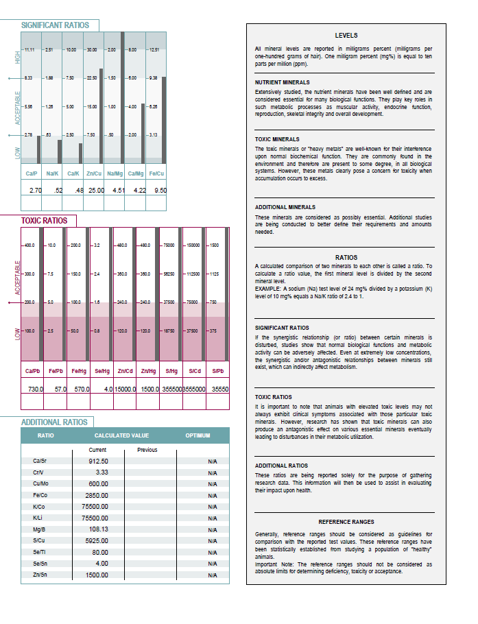 Hair Tissue Mineral Analysis (TEI Profile 16) for Equine