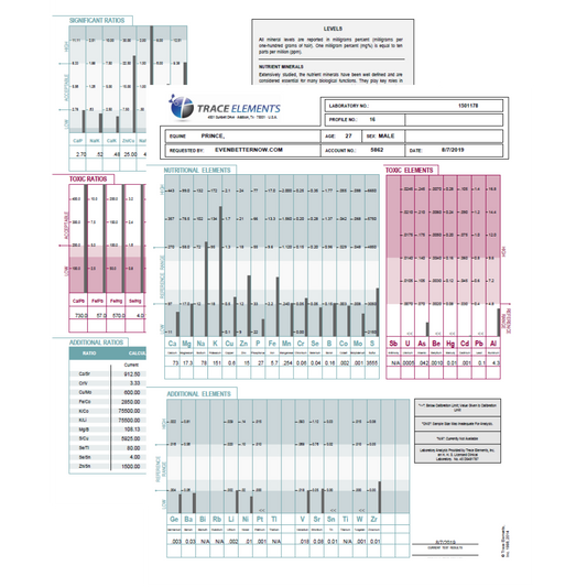 Hair Tissue Mineral Analysis (TEI Profile 16) for Equine